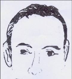 面相算命入门:三停,什么是三停?2