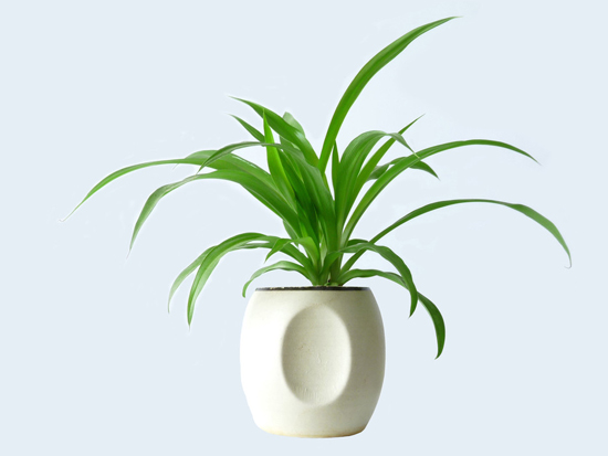 招财风水局里的学问