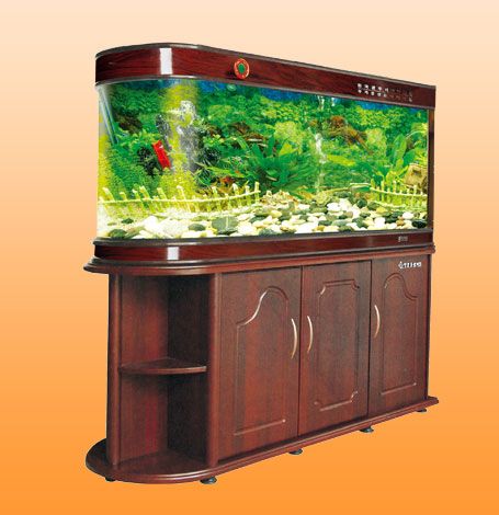 家居鱼缸风水禁忌注意事项